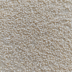 Nouvelle Offre 2024 : Moutarde AD Crue Séchée 100% Pure et Décortiquée de Haute Qualité – Emballage Personnalisé Forme Allongée 1kg – Importateurs d'Inde - Product Image 2