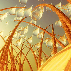 Hidratante com Óleo de <span class=keywords><strong>Argan</strong></span> Orgânico Natural para Crescimento e Engrossamento da Barba com Logotipo Personalizado para Cuidados Masculinos - Product Image 6