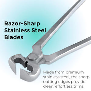 ที่ตัดกีบม้าสแตนเลสสำหรับสัตวแพทย์ สำหรับดูแลกีบม้า ทนทาน ใช้ในงานตัดแต่งกีบม้า มีขนาดและคุณภาพตามสั่ง - Product Image 2