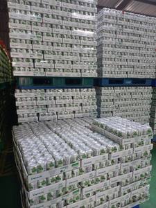 น้ำมะพร้าวสดบรรจุกระป๋องขนาด500มล. 16.9ออนซ์เครื่องดื่มปราศจากแอลกอฮอล์ขวดน้ำผักผลไม้คุณภาพสูงจากอเมริกา - Product Image 2