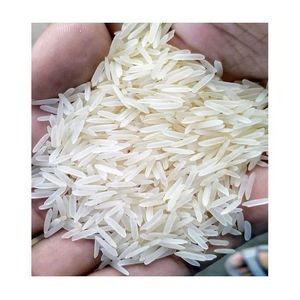 Riz Basmati biologique de qualité supérieure à grains longs, emballé en sacs en vrac, service de livraison rapide pour les grossistes, les importateurs et les détaillants - Product Image 2