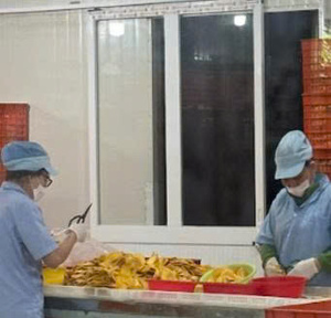 Mango secado al aire de Vietnam, venta al por mayor, rebanadas de mango dulce a granel, suministro de exportación de frutas tropicales, productor de Mango Seco de fábrica Premium - Product Image 3