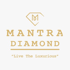 Montres automatiques de luxe en diamant Moissanite pour hommes, réglage de la lunette en argent doré, cadran personnalisable et boîtier en acier - Product Image 5