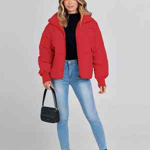 Femmes hiver mode doudoune à capuche fermeture éclair avant léger doux matelassé isolé corps chaud enduit usage quotidien - Product Image 2