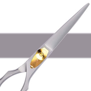 Ciseaux de coiffure professionnels meilleure qualité 5.5 \ "lames en acier inoxydable Super Sharp pointe émoussée finition polonaise droite pour - Product Image 3