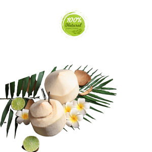Solución nutricional de productos agrícolas de coco de diamante para entusiastas de la salud - Product Image 2
