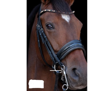 Bride Snaffle - Product Image 5