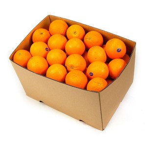 Cítricos frescos Naranjas navales Frescas Valencia Naranjas 20kg Cartón 25 toneladas Mandarinas Valencia Naranja Naranjas frescas Amarillo - Product Image 1