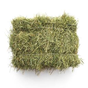 Lit pour petits animaux en bois écologique pour hamsters - Utilisation en intérieur, toutes saisons, segments de foin de Timothy séché à vendre - Product Image 1