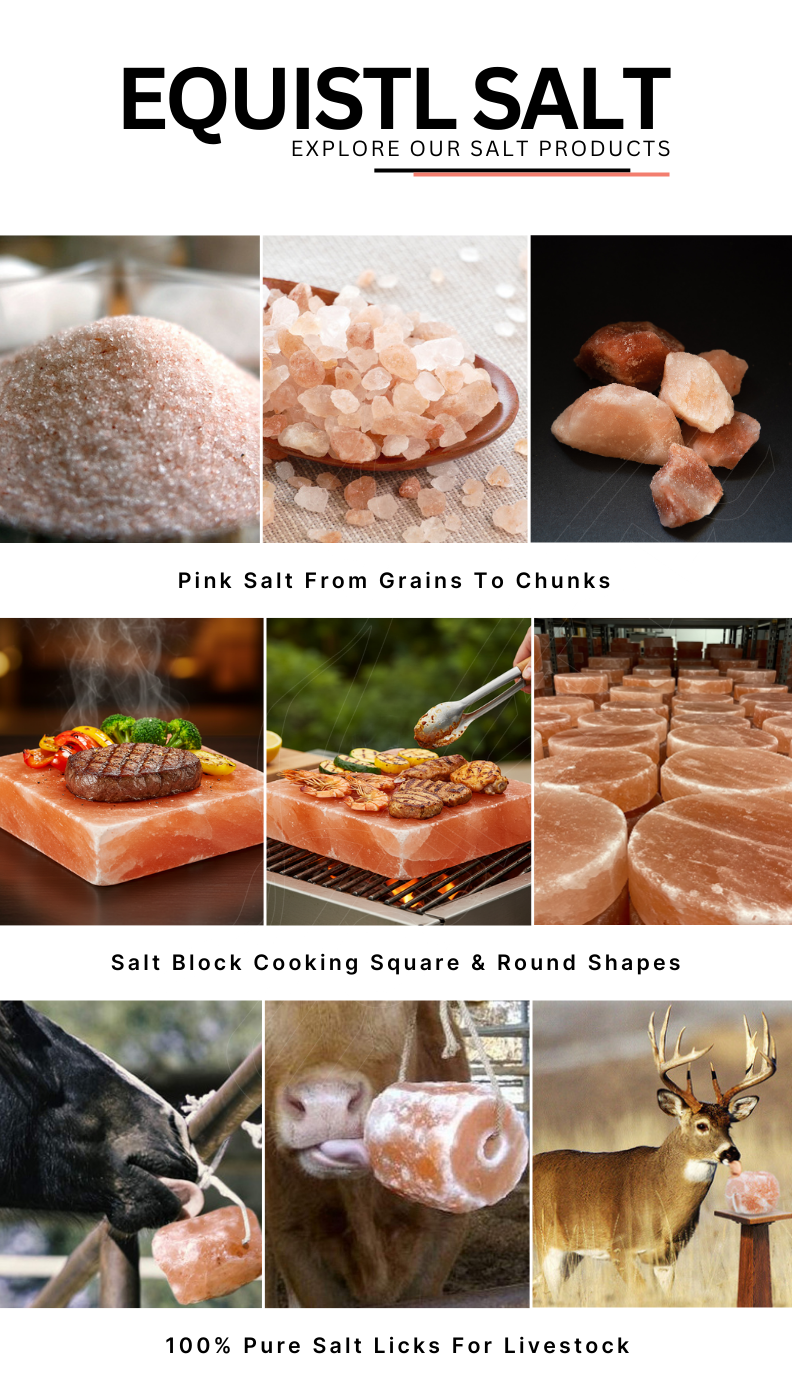 Round Rock Saltlicks Bbq Texas Gift Basket,texas Gift Boxes,austin