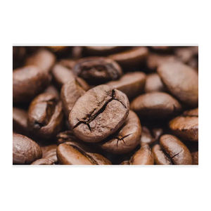 โรบัสต้าเมล็ดกาแฟสีเขียวอาราบิก้าและโรบัสต้าส่งตรงจากบราซิล - Product Image 6