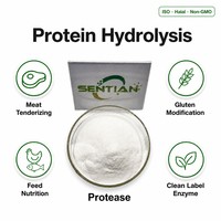 Poudre d'enzyme subtilisine de qualité alimentaire 200 000 U/g pour la hydrolyse des protéines
