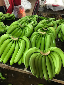 Plátanos Cavendish frescos totalmente naturales exportados por proveedor de Vietnam para muchos alimentos nutritivos - Product Image 4