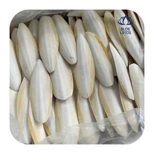 Os de Seiche Séchés à Prix d'Usine pour l'Alimentation des Perroquets, des Perruches, des Cockatiels et des Tortues - Product Image 1