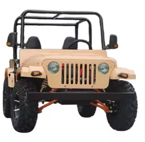 ÚLTIMA OFERTA UE 2025/2026 UTV de Gasolina de 200cc con Volante, 4x4 Todoterreno, Go-Kart, LISTO PARA ENVIAR - Product Image 4