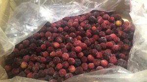 Waxberry แช่แข็งเหมาะสำหรับการใช้งานเชิงพาณิชย์และสุขภาพ - Product Image 6