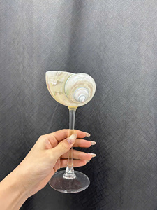 Cristal de concha natural hecho a mano | Copa de Martini pulida | Copa de concha sostenible para restaurantes y compradores mayoristas. - Product Image 4