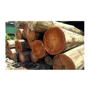 Meranti Wood for Sale at Best Price Online - Product Image 2