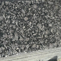 Dalle de granit gris acier naturel, aspect brut, taches argentées et noires, haute qualité, durable, design moderne, pour salon et chambre
