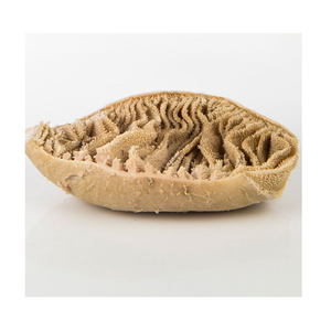 Partie du corps de boeuf salé Omasum congelé biologique de qualité supérieure Emballage en vrac Options fiables d'exportation et de livraison Prix - Product Image 6