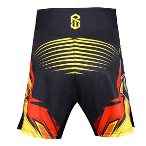 Vente en gros OEM sublimé No Gi Shorts pour enfants MMA Boxe Gym Training BJJ Grappling Combat Fighting Wear - Product Image 6