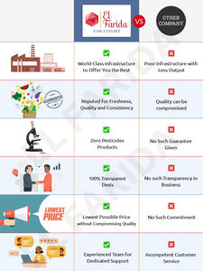 บรอกโคลีแช่แข็งธรรมชาติจาก100% ผู้ผลิตผักส่งออกจากอียิปต์ - Product Image 6