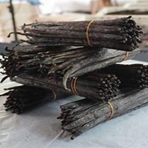 Fèves de vanille naturelles fraîches/séchées de haute qualité à vendre à des prix raisonnables - Product Image 5