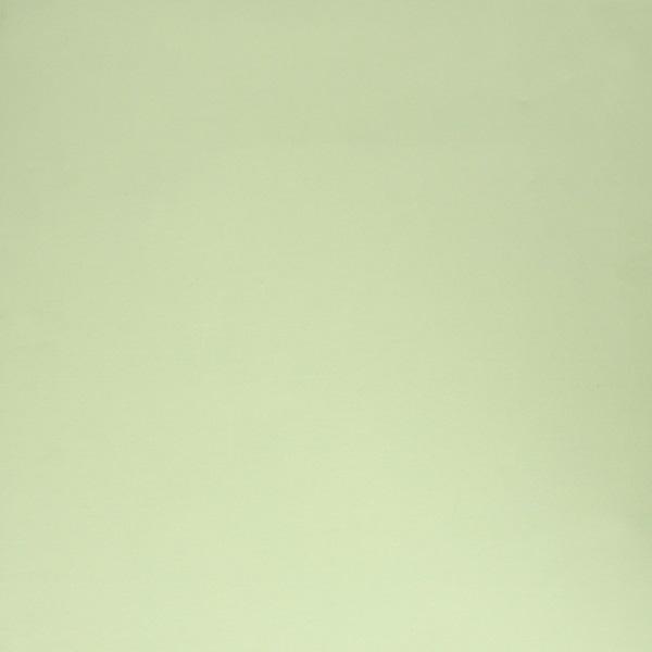 สีเขียวป่าไม้