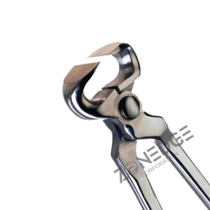 ที่ตัดกีบม้าสแตนเลสขายดี ตัดตรง สำหรับตัดกีบสัตว์ อุปกรณ์สัตวแพทย์ เครื่องมือสัตวแพทย์ - Product Image 3