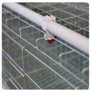 Fourni Bonne Qualité Coop Corée du Sud Poulailler Poulailler Elevage de Poulet Poulailler en Bois avec Boîte Oeuf Inférieur Cassé Taux 62 - Product Image 3