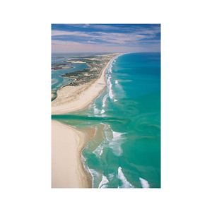 ซื้อแผ่นไม้บีชขนาดยาวในราคาที่ถูกที่สุดสำหรับโครงการก่อสร้างขนาดใหญ่ราคาไม่แพงสำหรับทุกคำสั่งซื้อ - Product Image 5