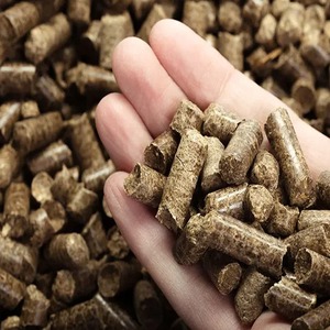 Granulés de bois de première qualité, granulés de biomasse, granulés de bois de chauffage haute valeur calorifique 6mm 8mm, fournisseur en gros - Product Image 4