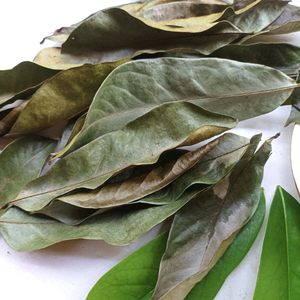 POUDRE DE FEUILLES DE GRAVIOLA SÉCHÉES DE HAUTE QUALITÉ-EXPORTATION EN VRAC VIETNAM 2024 - Product Image 6