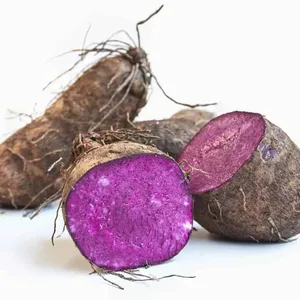 Delicias de ñame morado congelado de alta calidad para exportar desde Vietnam VI HUYNH