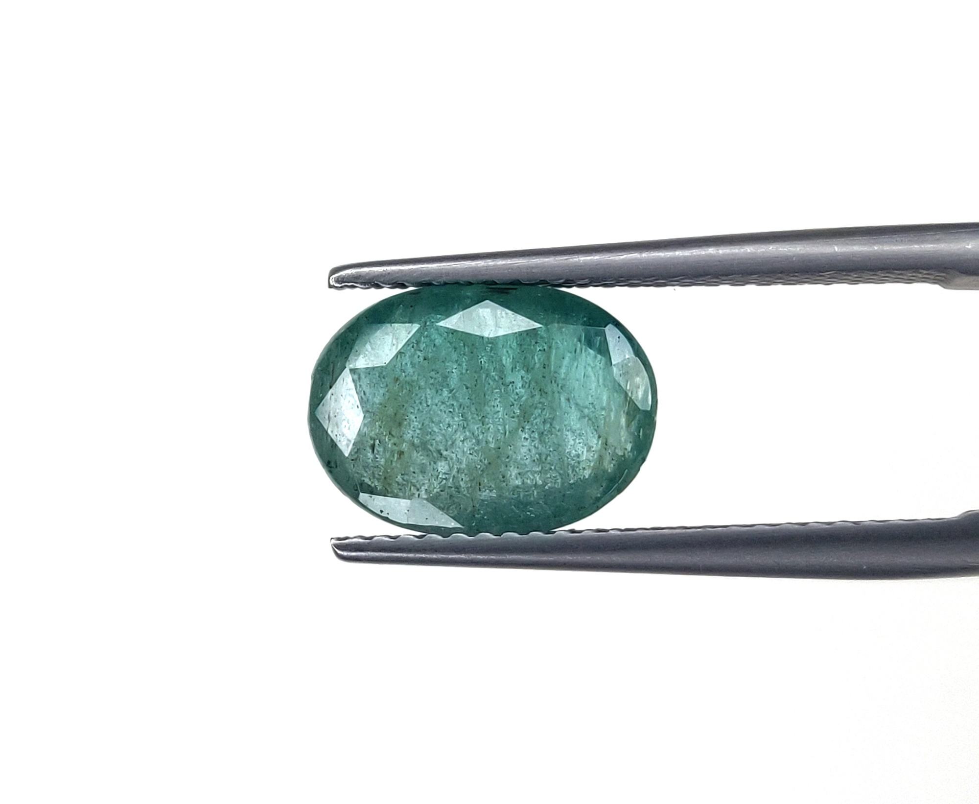 สีเขียวปานกลาง