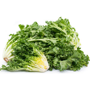 Chicorée d'endives la plus vendue: grossiste en gros d'espèces de légumes à feuilles amères similaires de qualité supérieure - Product Image 5