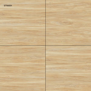 Azulejos de Piso Modernos de Alta Calidad con Acabado Brillante ST66001 600x600mm Resistentes al Desgaste Antibacterianos Antideslizantes para Baño y Hogar - Product Image 1