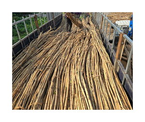 Fourniture en vrac de poteau de rotin disponible à partir de 99 données d'or-poteau de rotin de brillance et de ténacité naturelles pour l'exportation de production de meubles - Product Image 1