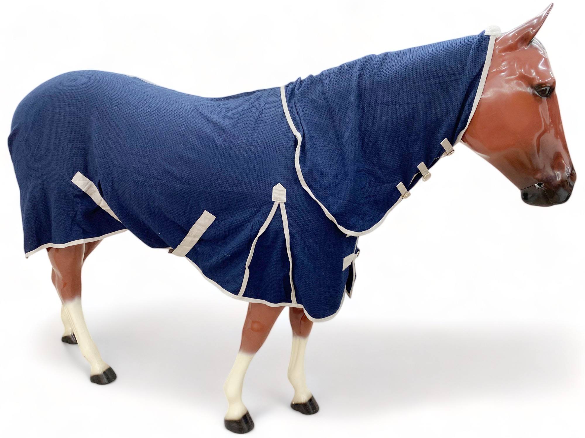 ซับในสีขาวน้ำเงิน