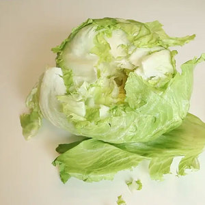 Wild Lettuces Vegetables Wholesale Shell <b>Seeds</b> 100% Pure for <b>Salads</b> Soups Sandwiches Wraps & Grilling-Top Grade - Product Image 3
