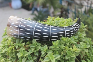 Cuerno de Cerveza Artesanal de Estilo Medieval Premium, Natural, Ecológico, Pulido para Beber, Halloween, Navidad - Product Image 5