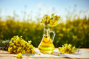 High Quality Canola Oil / Rapeseed Oil in Bulk for Export - Product Image 6