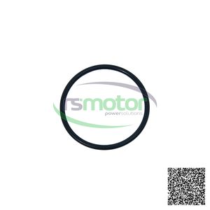 Joint torique OEM pour RS-01170590 MWM pour moteur au gaz naturel Pièces de machines neuves - Product Image 4