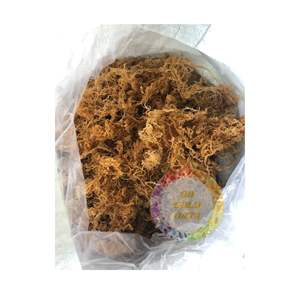 Musgo irlandés de algas para exportación/suministro de gran cantidad de EUCHEUMA seco a precio competitivo - Product Image 5