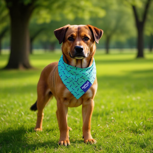 Pañuelo Triangular de Algodón Grande para Perros al por Mayor, Bufanda para Mascotas, Accesorios y Adornos para Mascotas, Fabricante - Product Image 3