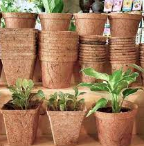 Maceta grande de fibra de coco Natural al mejor precio para jardín, decoración al aire libre, diseño de vivero, superventas de Vietnam - Product Image 4