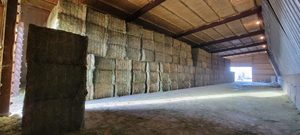 Heno de Timothy y Alfalfa de Alta Calidad en Pacas para Alimentación de Caballos y Cerdos, el Mejor Alimento para Animales - Product Image 5