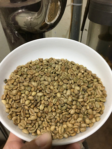 Grains de café vert de haute qualité à prix réduit, Excelsa 1-AA Grade, certifiés ISO du Vietnam, sac en jute de 60 kg, vente en gros - Product Image 6