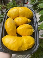Vietnamese Durian: Een Tropisch Genot/Vdelta Die Je Moet Proberen