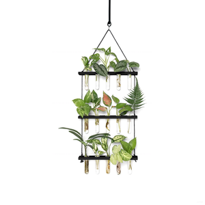 3层壁挂玻璃玻璃容器木制支架迷你试管花盆水培插条家用办公室花盆 - Product Image 1